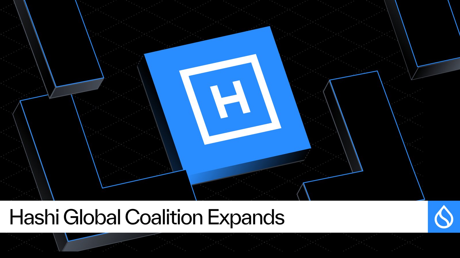 Sui News : Cumberland, Fluid et SwissBorg rejoignent la coalition institutionnelle sur Hashi avant le testnet global de juillet.
