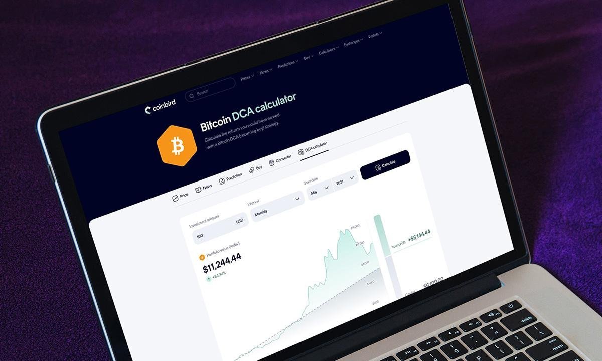 100 US-Dollar pro Monat in Bitcoin seit 2015 hätten aus 13.700 US-Dollar 632.000 US-Dollar gemacht, wie die Analyse von Coinbird zeigt