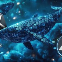 XRP-Wale erreichen Rekordhöhe, da sich die Anzahl der 332K-Wallets weiter ansammelt