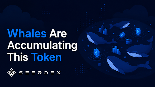 SeerDEX Is de beste presale crypto die walvissen accumuleren — Prijs stijgt elke fase