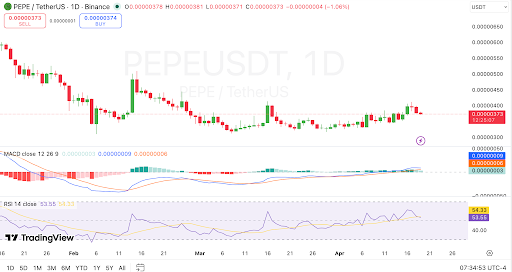 PEPE steadies near resistance as daily momentum improves