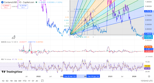 Sinusubok ng Cardano ADA ang suporta sa $0.246 habang ang mga bulls ay naglalayon ng rebound